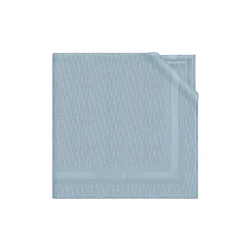 DIOR Knit Scarves Women's Blue