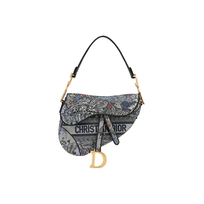 DIOR Saddle Handbags-0