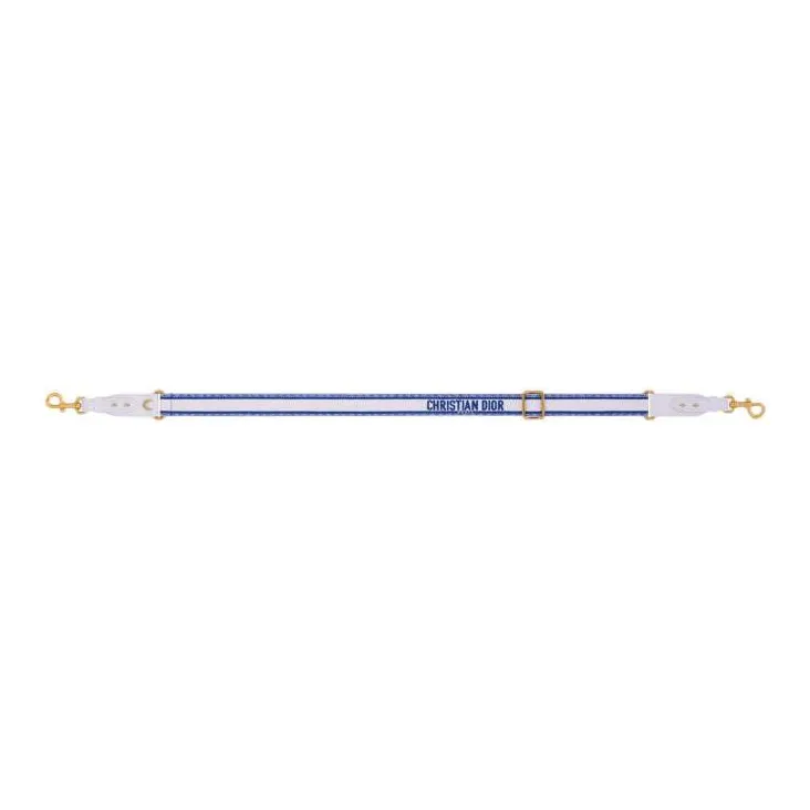 DIOR Embroidered Cow Leather Patchwork Shoulder Strap Bag Straps Women's Blue-1