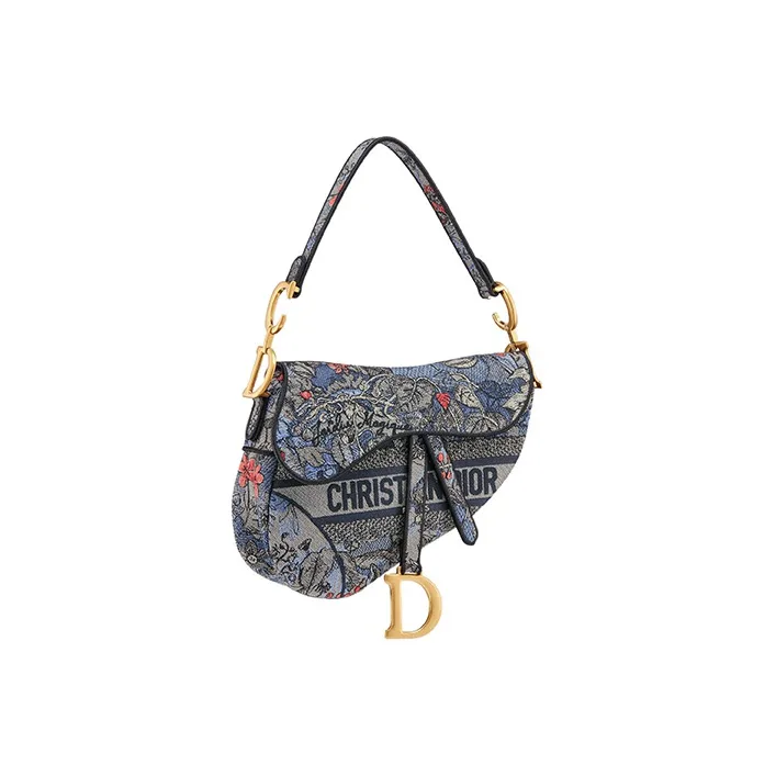 DIOR Saddle Handbags-1