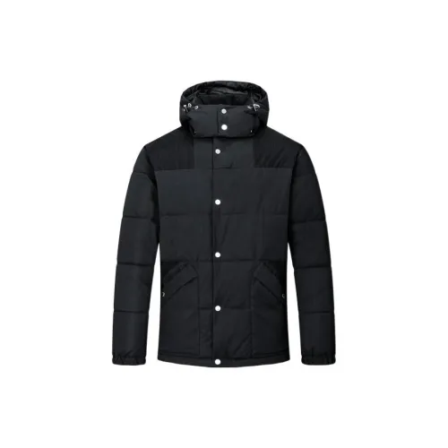 ARMANI EXCHANGE Puffer Jackets Men Black