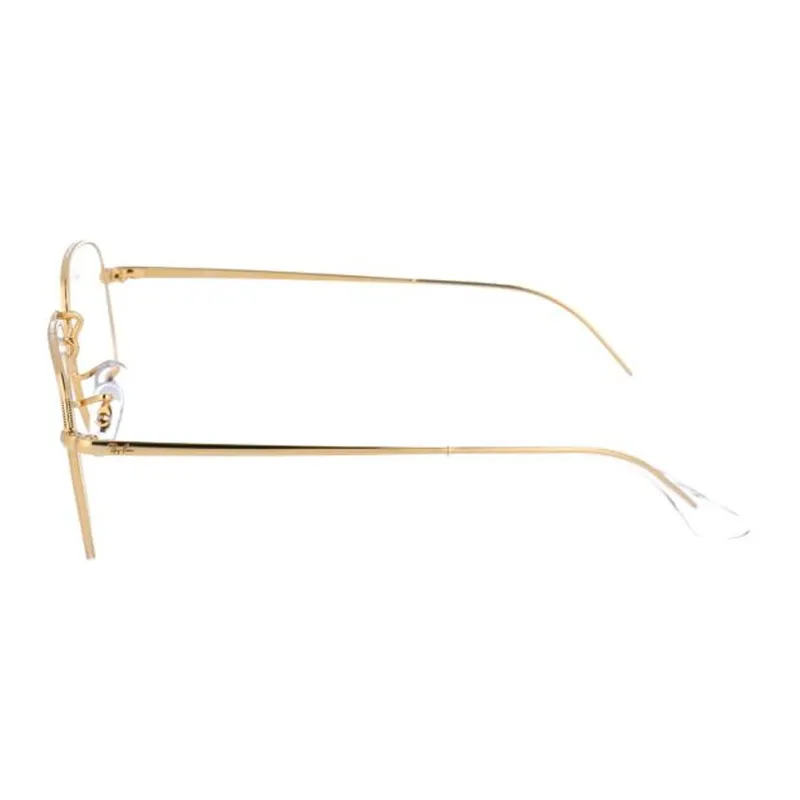 RayBan Hexagonal Frame Glasses-2