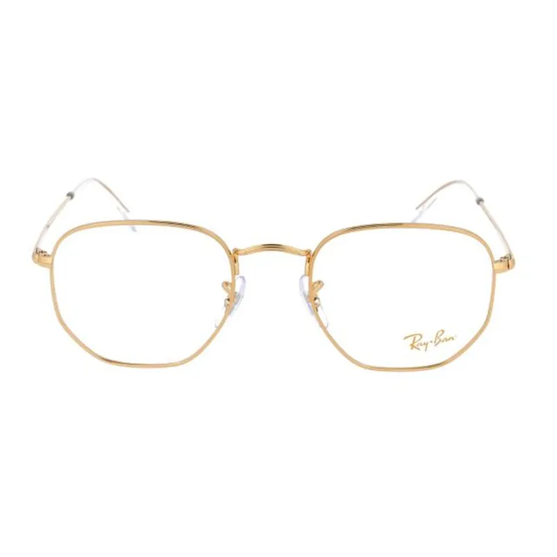 RayBan Hexagonal Frame Glasses-1