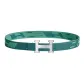 Collegiate Blue/Jasper
