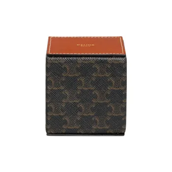 CELINE Triomphe Canvas With Calfskin Town Box Bag Accessory Women's Brown