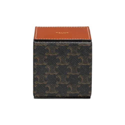 CELINE Triomphe Canvas With Calfskin Town Box Bag Accessory Women's Brown