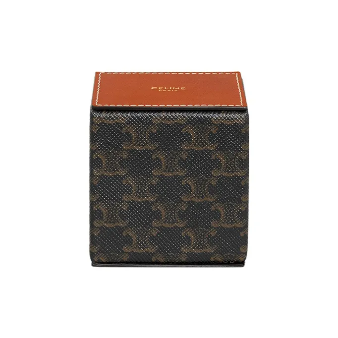 CELINE Triomphe Canvas With Calfskin Town Box Bag Accessory Women's Brown-0