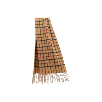 Chloé Shawls Women's Brown