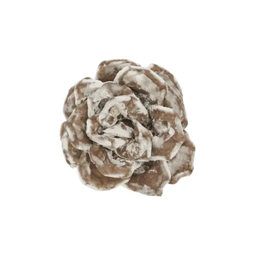 SAINT LAURENT Brooch Women's Light Brown