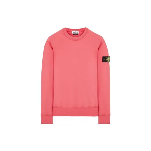 STONE ISLAND Sweatshirts Men Fairy Guest Color