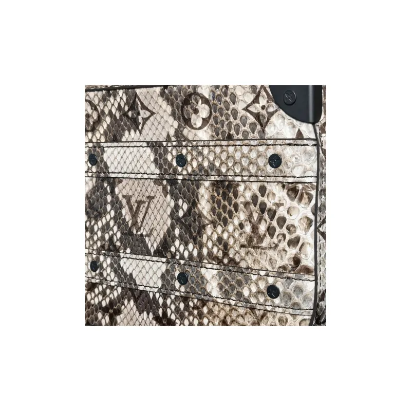 LOUIS VUITTON Trunk Python Skin Soft Box Small Square Bag Shoulder Bag Crossbody Bag Regular Unisex Multicolor-9