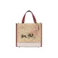 Bag+Dust Bag