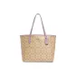 Bag+Dust Bag