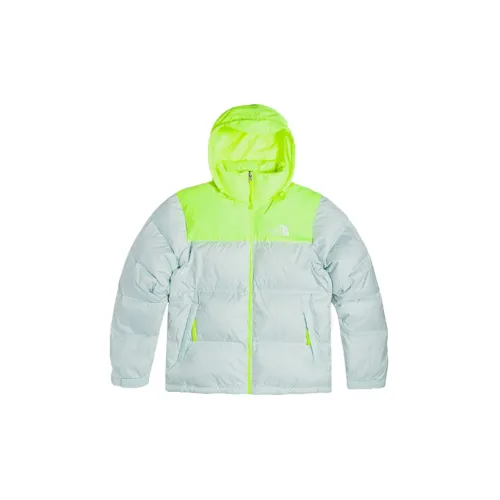 THE NORTH FACE 1996 Collection Down Jackets Men Gray Green