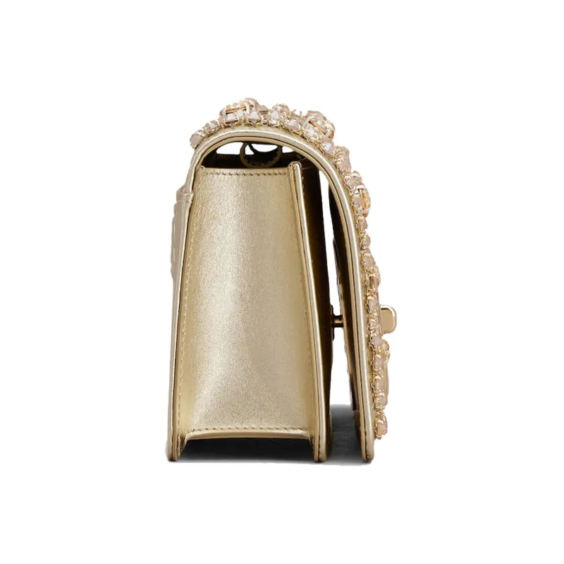 Roger Vivier Metal Leather One Shoulder Crossbody Clutches Mini Women's Gold-3