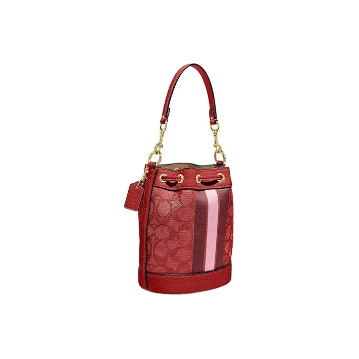 COACH Dempsey Handbags-1