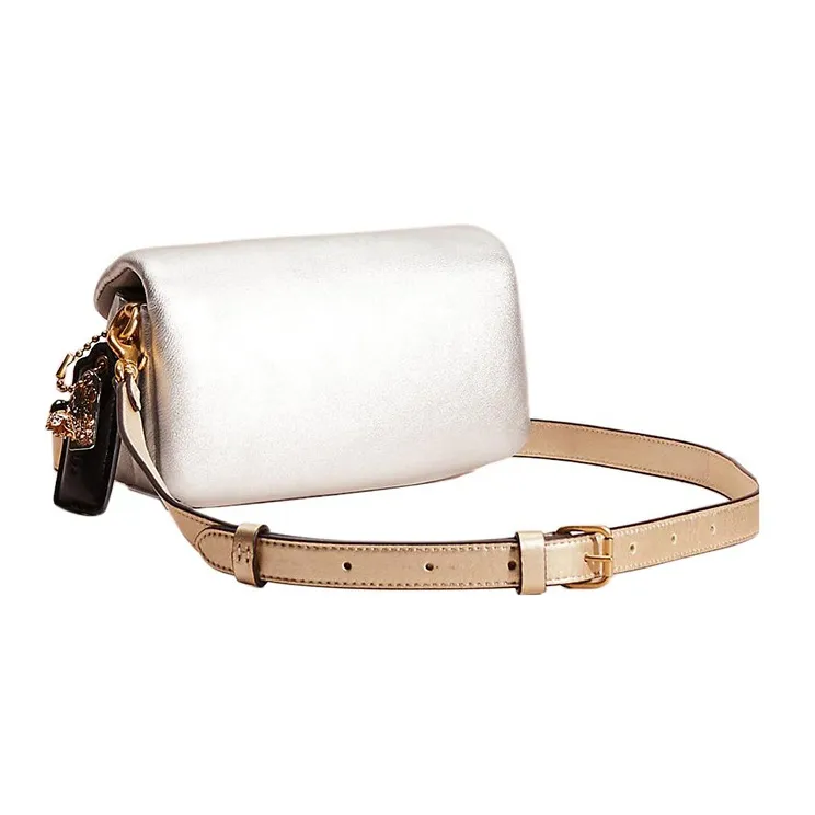COACH Pillow Handbags-1