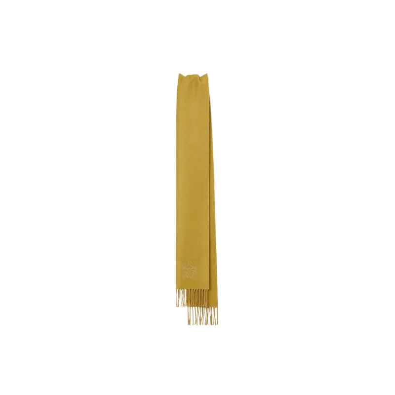 LOEWE Knit Scarves Women's-2