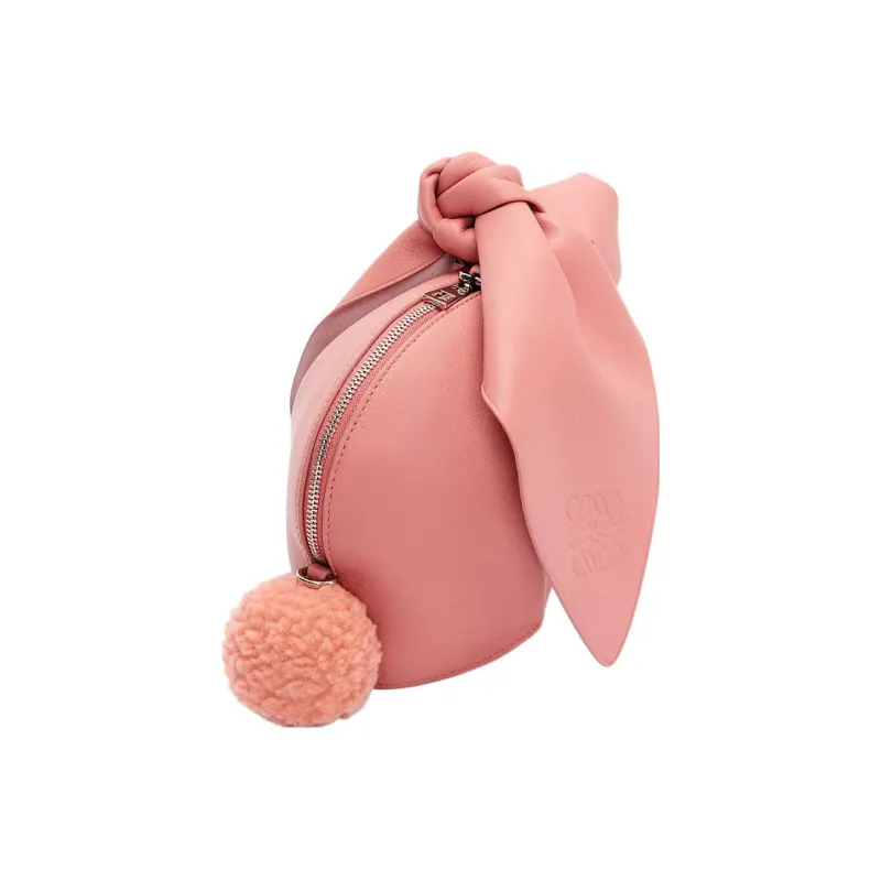 LOEWE Crossbody Bags-1