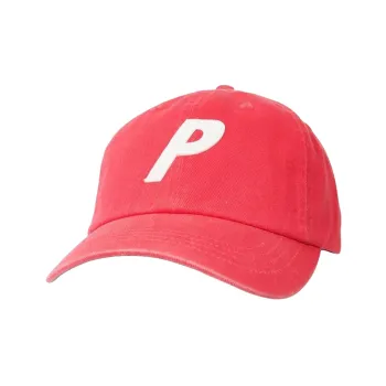 PALACE P 6 Panel FW22