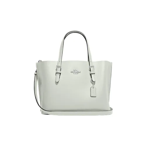 COACH Mollie Cow Leather Tote Bag Shopping Bag Shoulder Bag Crossbody Bag Handbag Medium Size Women's Light Green