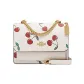 Bag+Dust Bag
