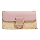 Bag+Dust Bag