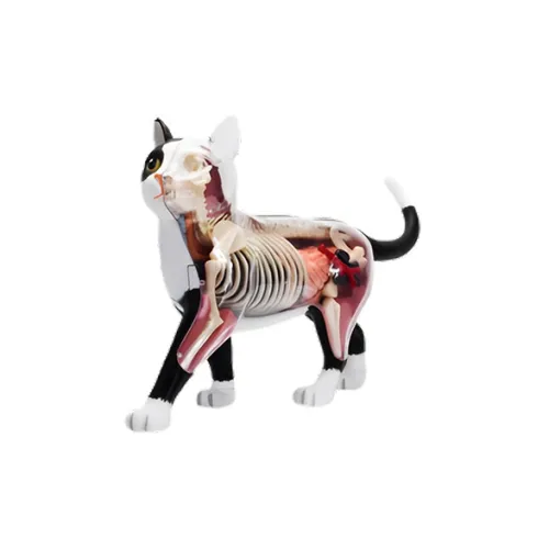 Mighty Jaxx Trendy Figures