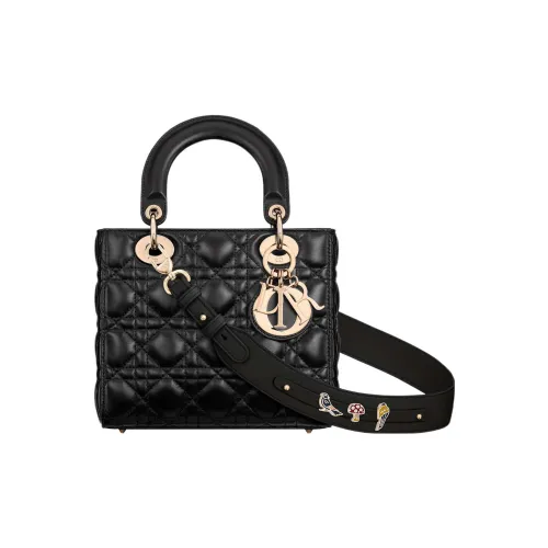 Lady DIOR Handbags