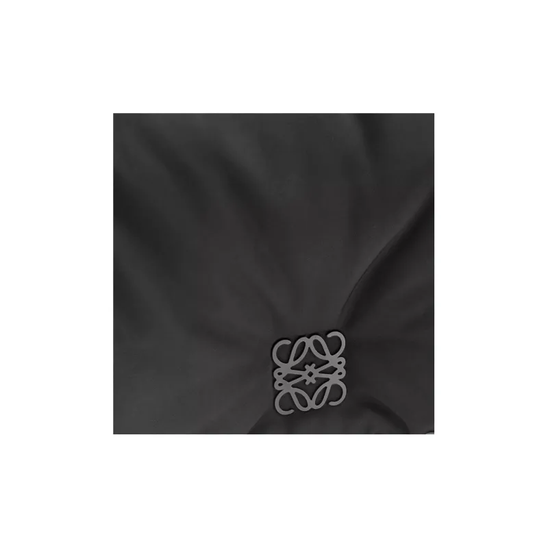 LOEWE Goya Nylon With Cow Leather Messenger Bag, Crossbody Bag, Shoulder Bag Men's Black-6