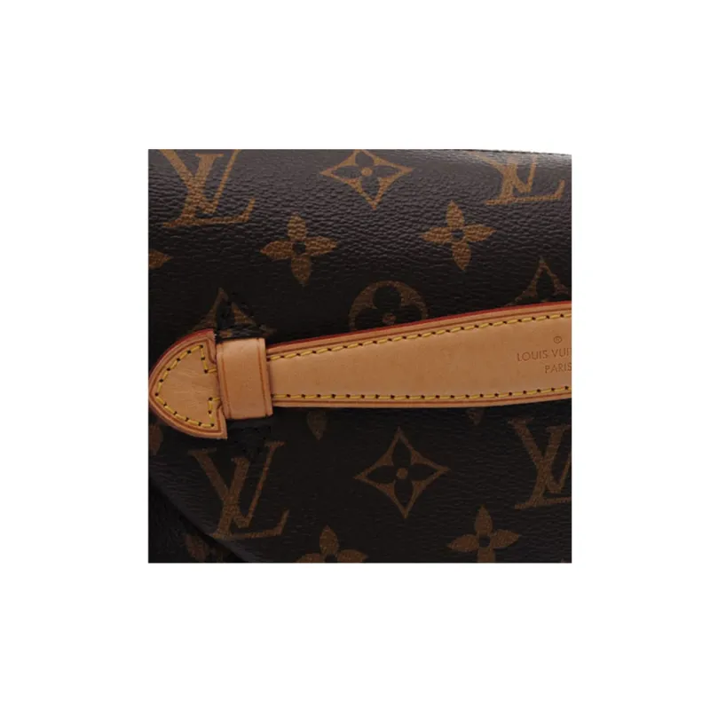 LOUIS VUITTON Bumbag Monogram Brown-5