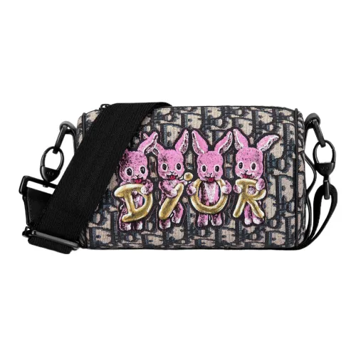 DIOR Roller Crossbody Bags