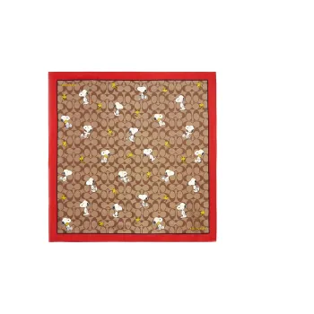 COACH Silk Scarves Women's Khaki/Red