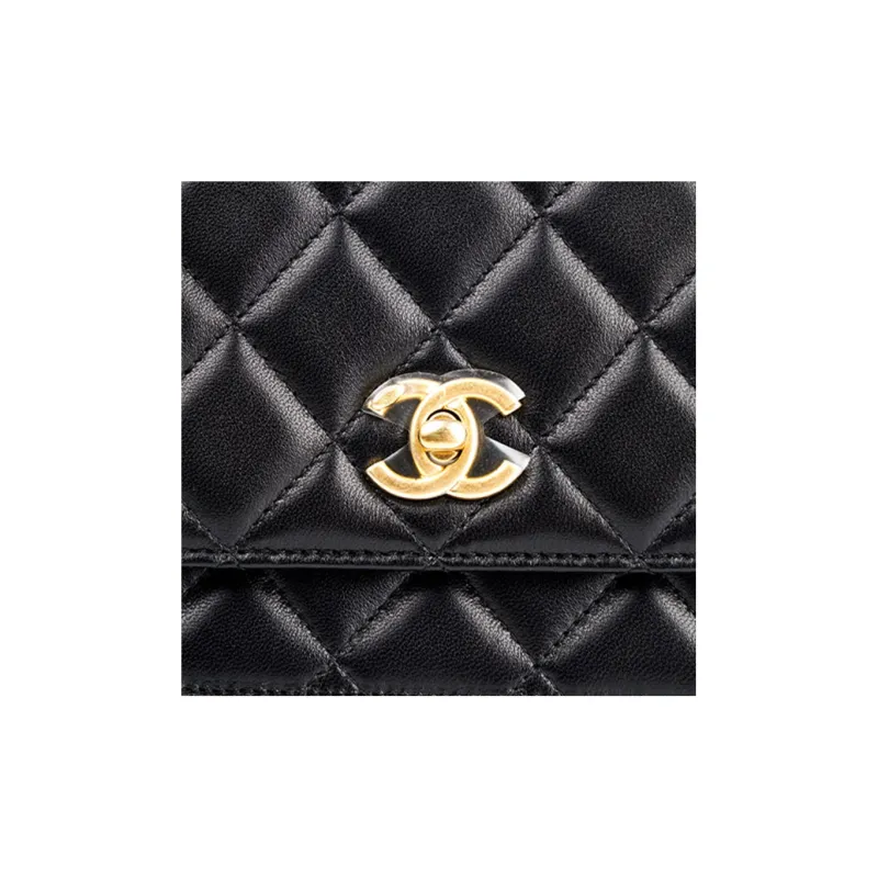 CHANEL WOC Sheepskin Wallet On Chain, Shoulder Bag, Crossbody Bag Regular Women's Black-6