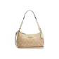 Bag+Dust Bag