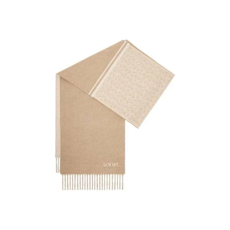 LOEWE Knit Scarves Women's-0