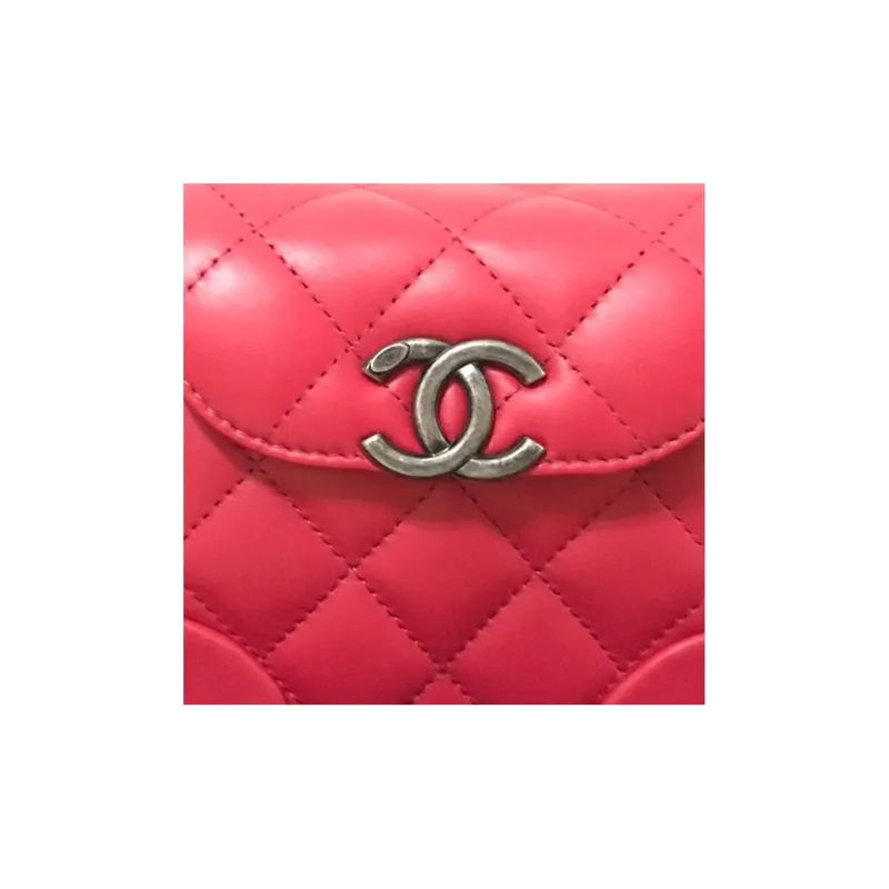 CHANEL Leboy Fanny Packs-1
