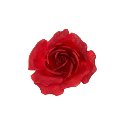 SAINT LAURENT Brooch Women's Red