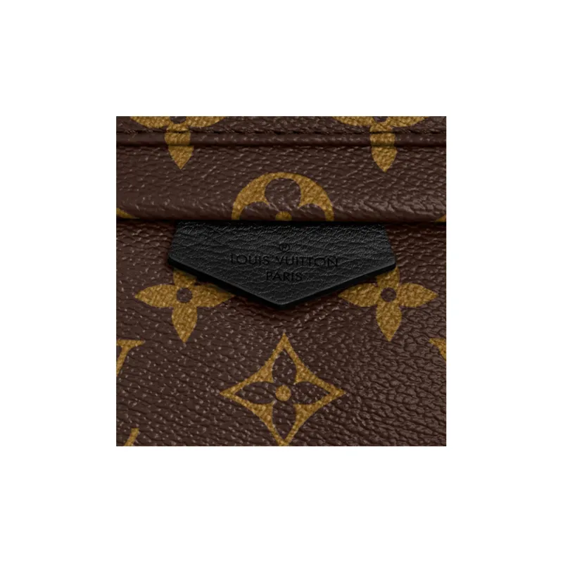 LOUIS VUITTON Palm Springs Monogram Updated Zipper Pm-6