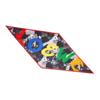 LOEWE Silk Scarves Women's Multicolor