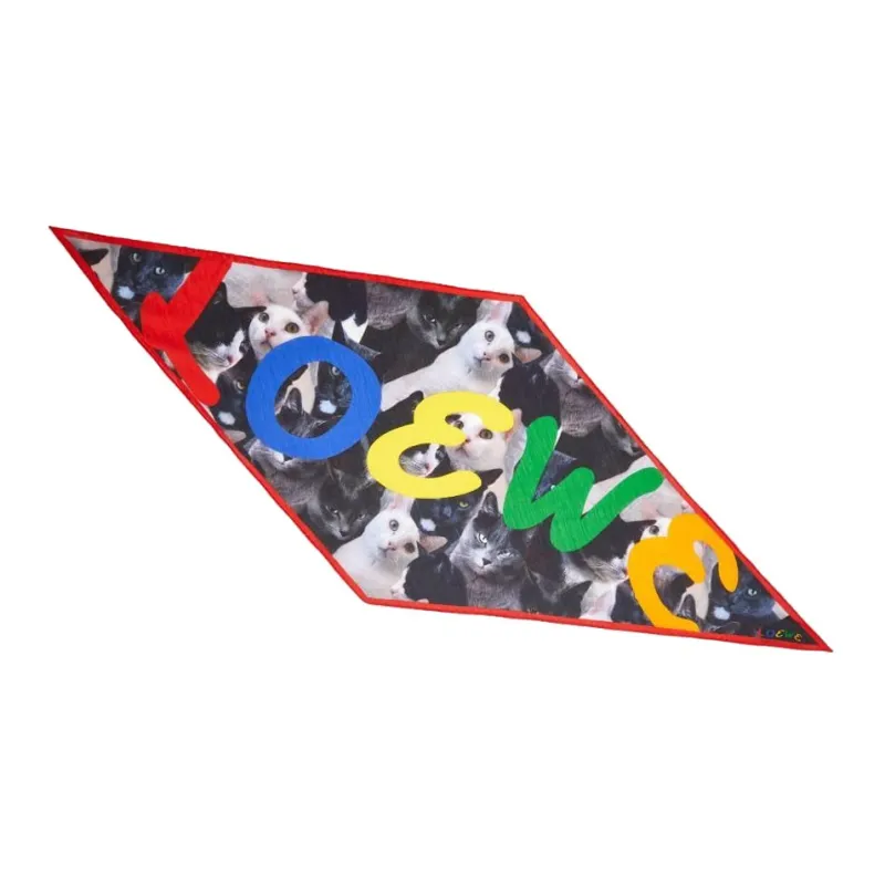 LOEWE Silk Scarves Women's Multicolor-0