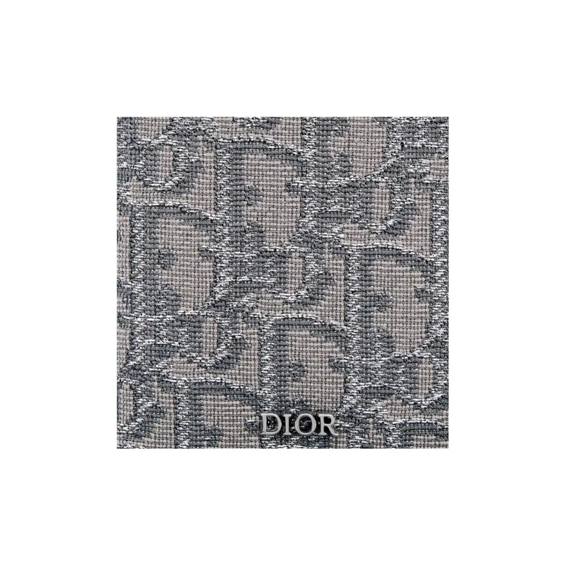 DIOR Oblique Embroidery Fabric Card Holder Men's Metal Gray-4