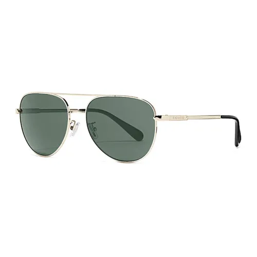 COACH Sunglasses Men Green