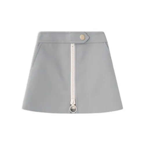 Lanvin Casual Short Skirts Women's Blue Gray