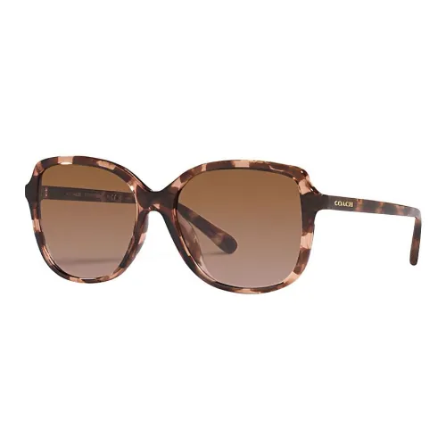 COACH Sunglasses Women's Brown