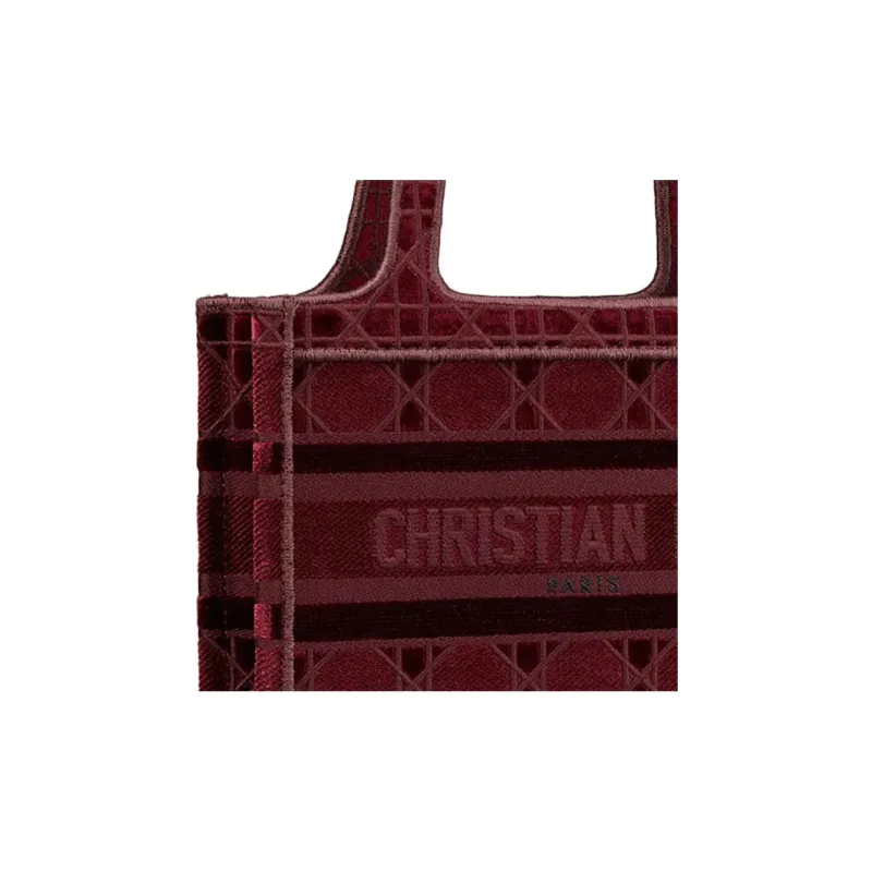 DIOR BookTote Handbags-3