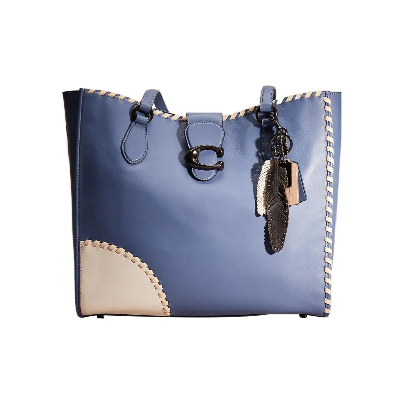 COACH Theo Tote Leather Tote Bag Shopping Bag Shoulder Bag Handbag Large Size Women's Blue & White-0