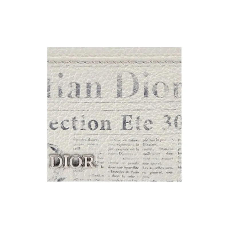 Daniel Arsham X DIOR Card Holders-3