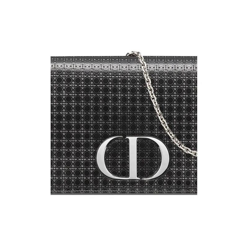 DIOR 30 Montaigne Clutches-6