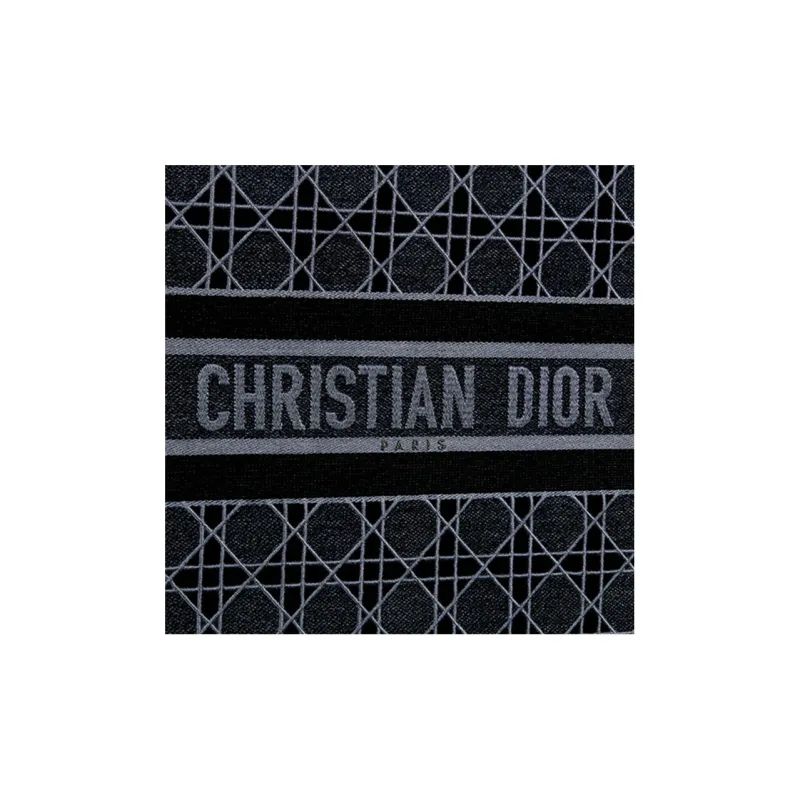 DIOR BookTote Embroidered Velvet Velour Tote Bag Shopping Bag Handbag Unisex Blue-3